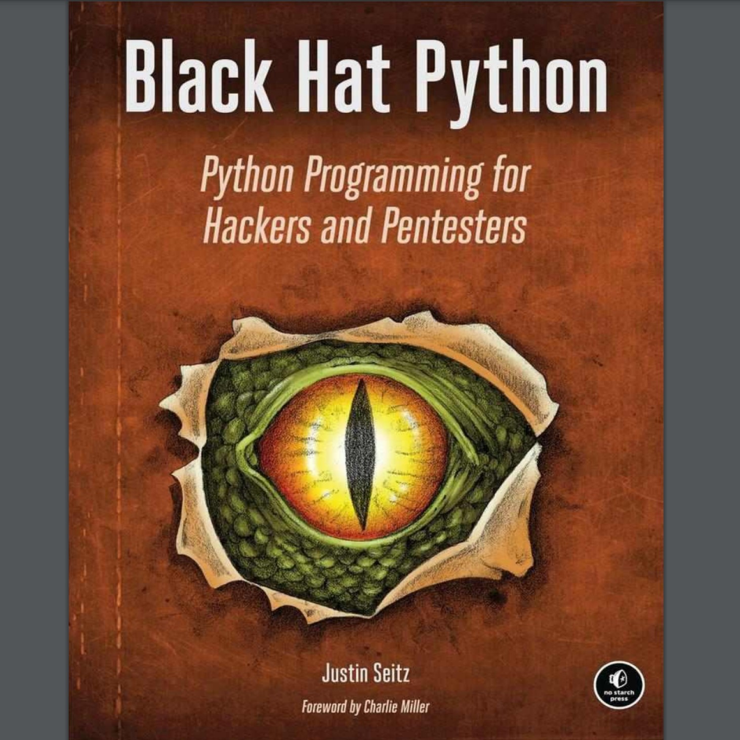 Black Hat Python