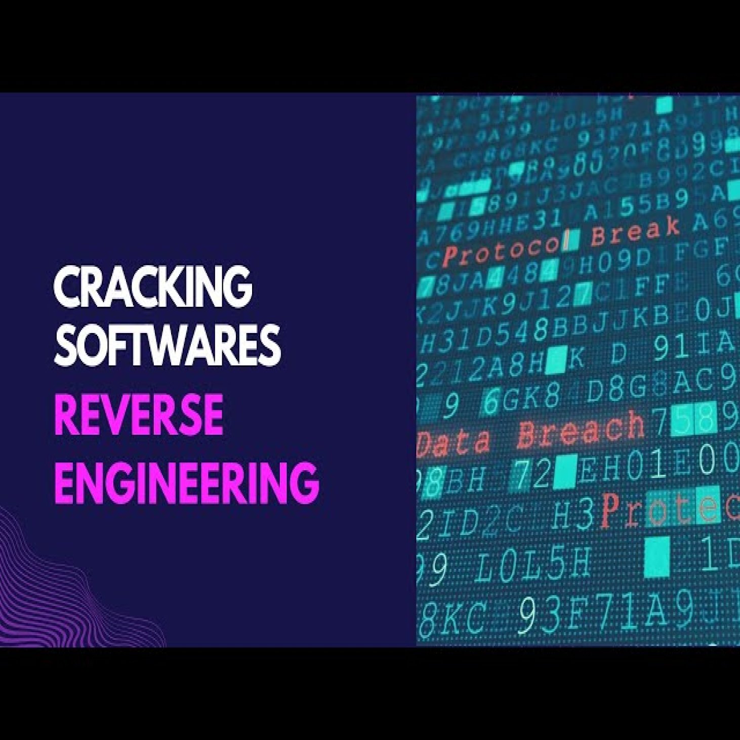  Advance Cracking And Reverse Engineering Course